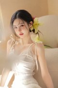 99爱正在线精品免费旁不雅
