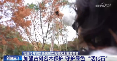 多点发力加